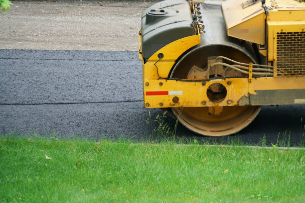 Best Custom Driveway Pavers  in Ludington, MI